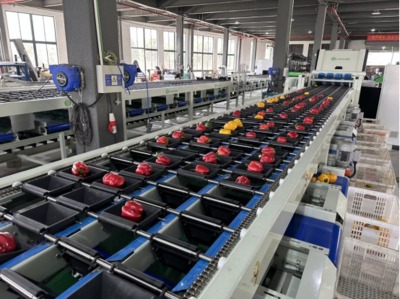 引领果蔬分选技术革新 嘉创利农机械助力农业现代化与智能化清洁机械革新
