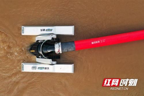 高端化与智能化 迪沃科技为工程机械展增添新活力