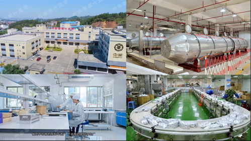 中茶引领六堡茶工业革命2.0 智能化清洁机械与设备的革新之路